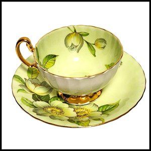 AYNSLEY‎ England DOGWOOD Pattern Light Green Cup & Saucer Magnolia Flowers